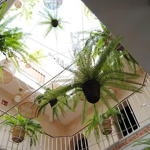 ゲストハウス Cordoba, セビリア